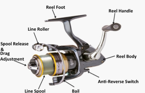 How to Tie Fishing Line to Reel. How to Tie Fishing Line to Reel:, by  Contact information