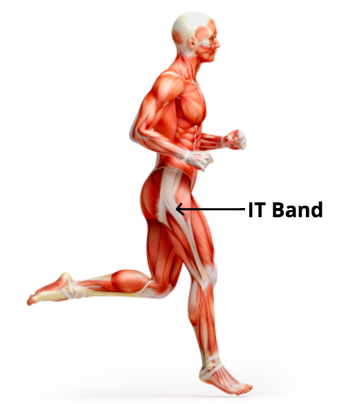 How to Foam Roll Your IT Band: 5 Physio Tips, by Alina Kennedy