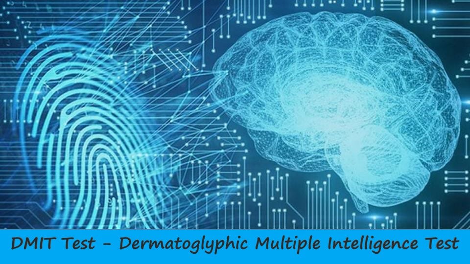 Understand DMIT Test in Hindi (डीएमआईटी को हिंदी में समझें)