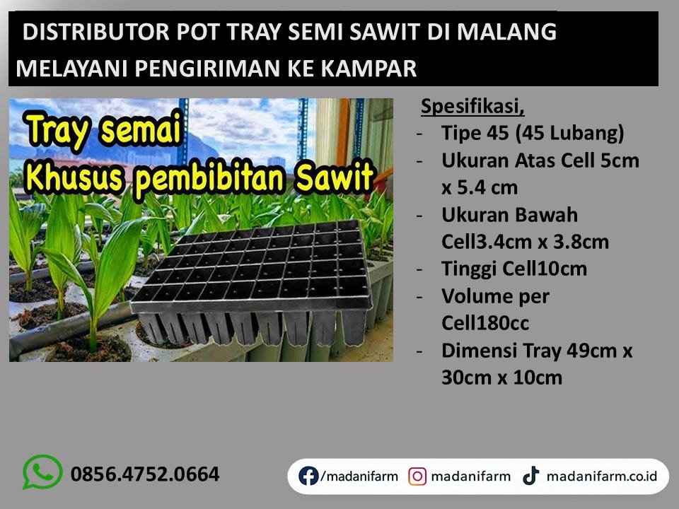 Jual Sarana Green House Po Tray Semai Sawit di kampar