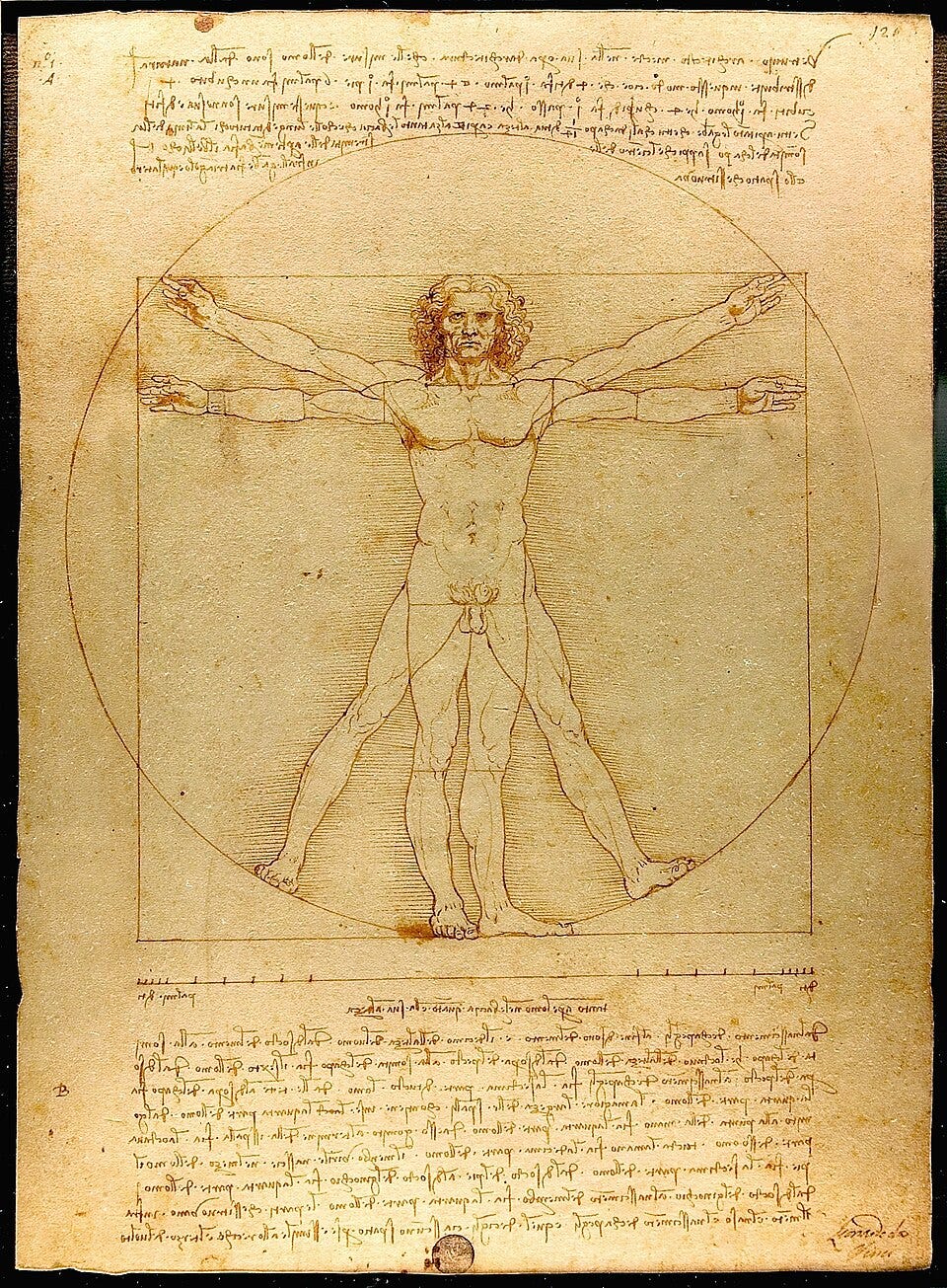 Vitruvian Man by Leonardo da Vinci on Wikimedia Commons