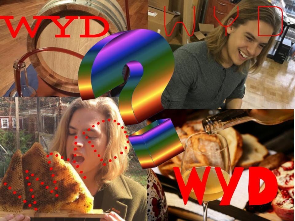 NYU Alum Dylan Sprouse is Opening a Mead Brewery in Williamsburg by
