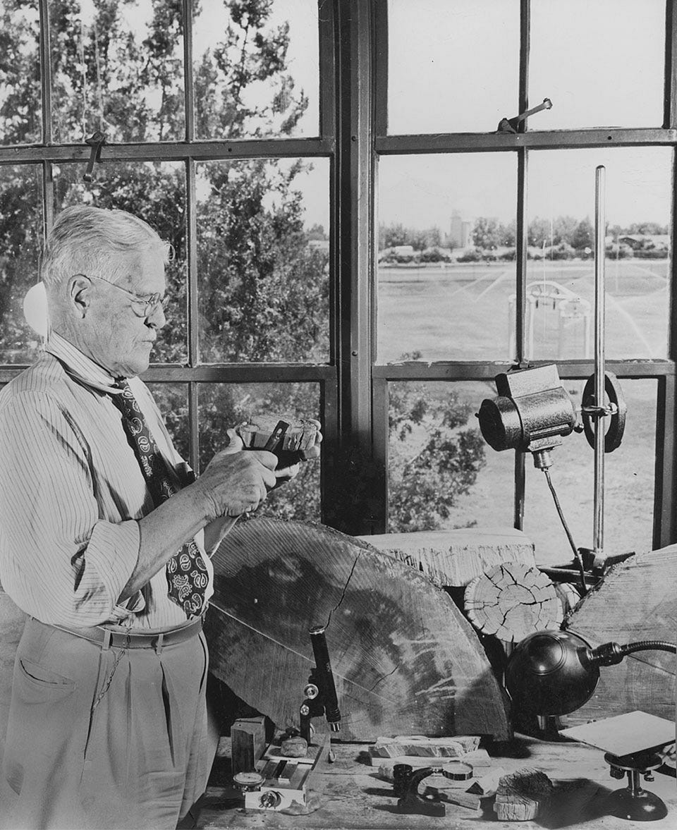 The Whistled Language of Tree-Ring Science | by Jim A. Parks | Never ...