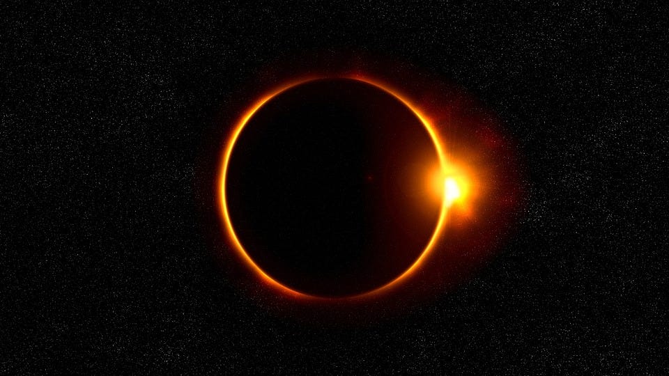 Twisted Fangs Chapter 1. Animals in Cages Eclipse by Lee
