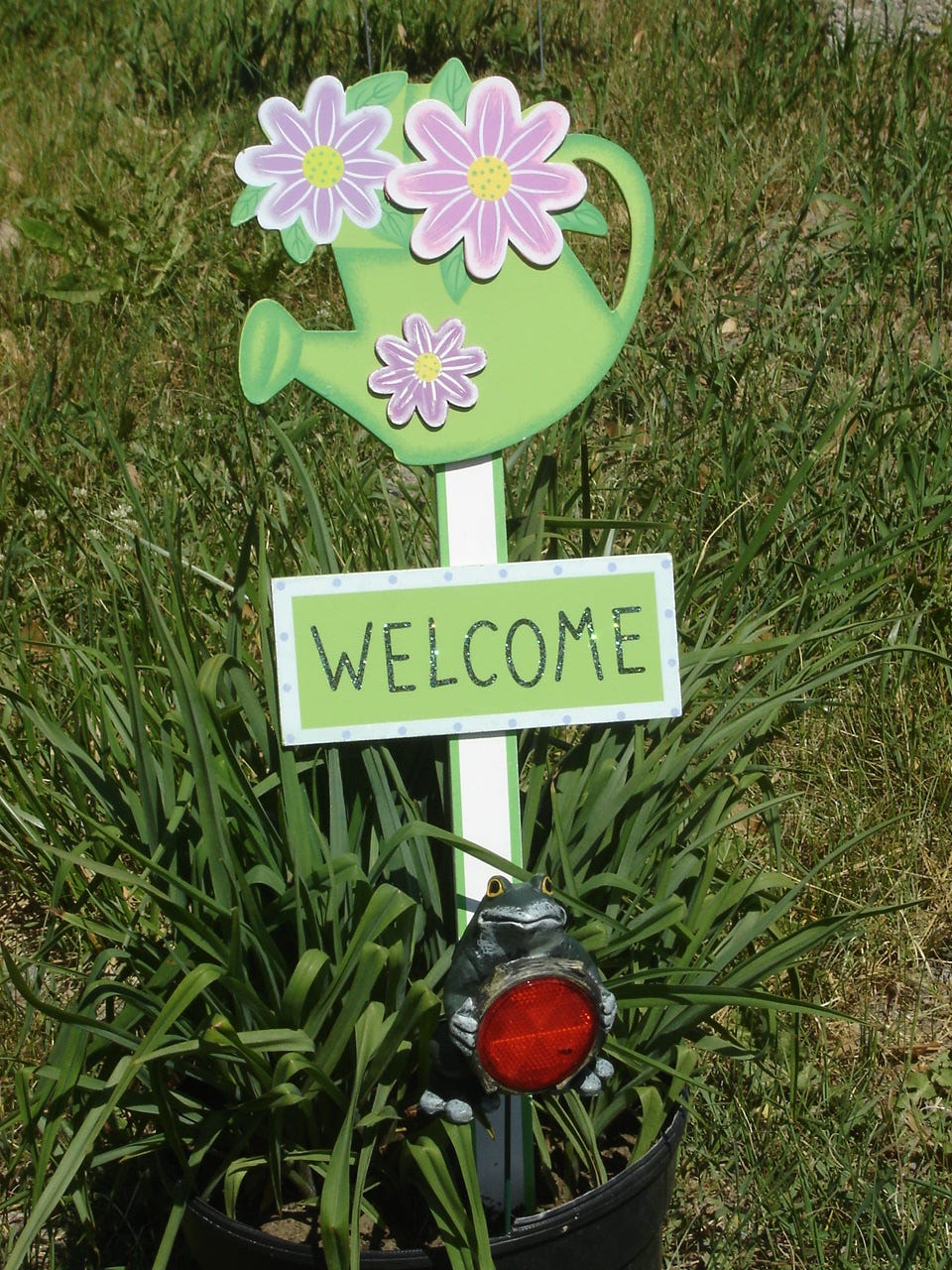 Image 17