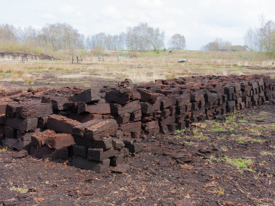 How to Prepare Peaty Soil. Learn about peaty soil, its history and