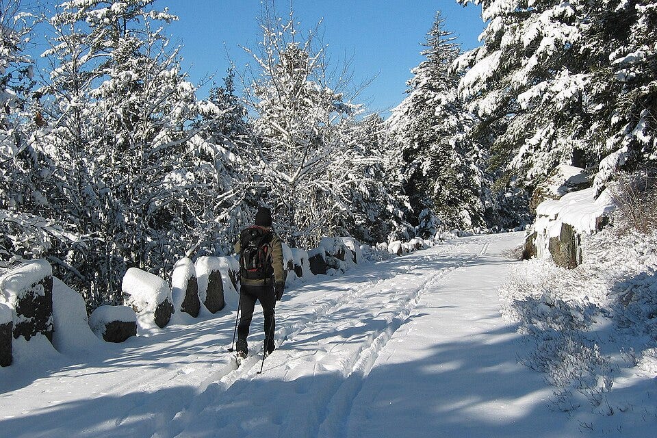 Cross country skier on a carriage road