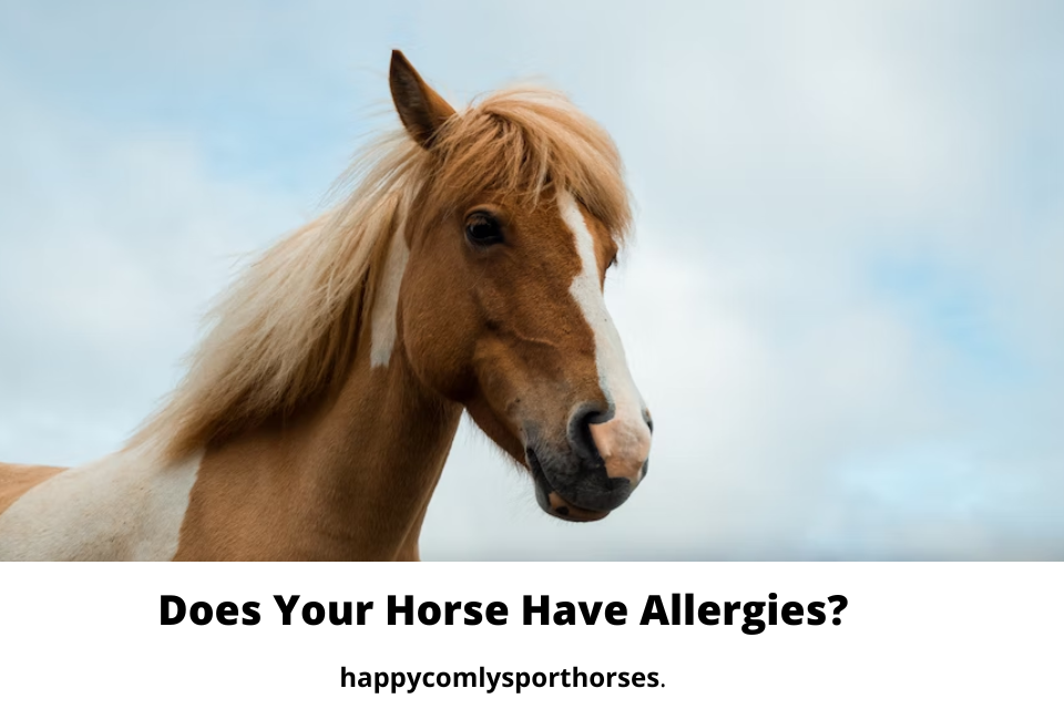 Does Your Horse Have Allergies? Stassy Hiller Medium