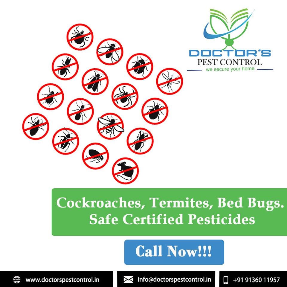Safeguarding Homes in Thane Unveiling the Best in Residential Pest