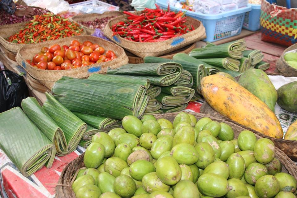 The Healing Medicine Of Bali Definition Of Healing For The Purposes 