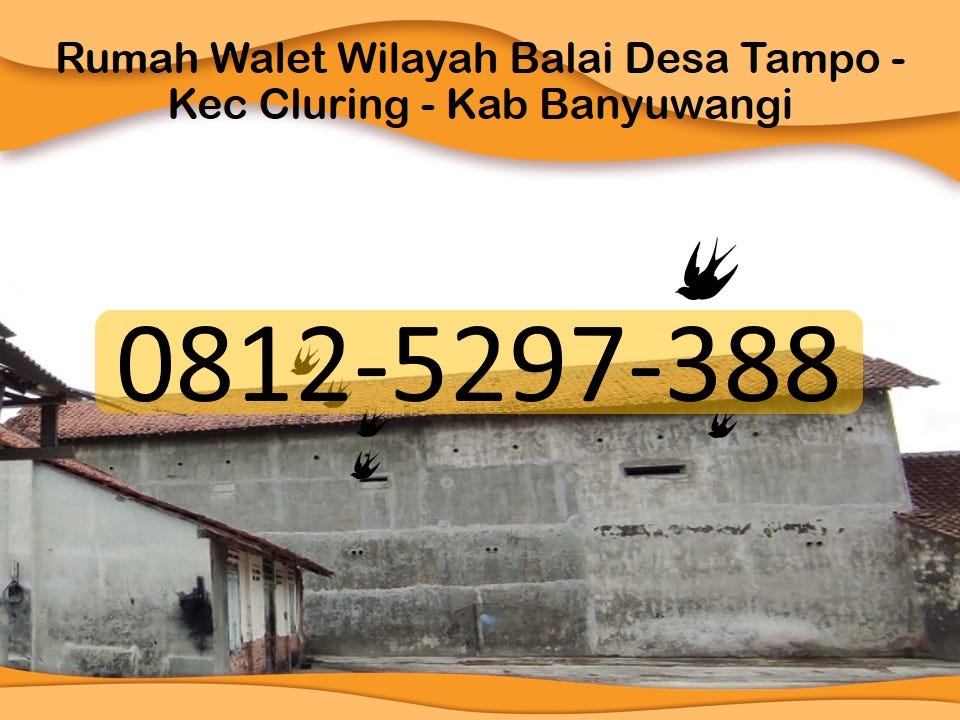 DIJUAL CEPAT, Call 0812–5297–388, Rumah Walet Banyuwangi Simbar — Desa Tampo — Kecamatan Cluring —…