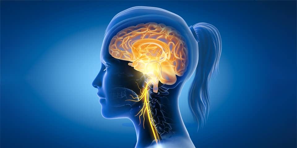 Interoceptive Awareness and the Vagus Nerve