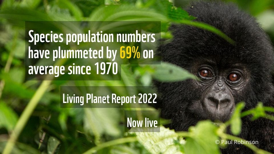 Living Report 2022 understanding the problem by Lisa Miller
