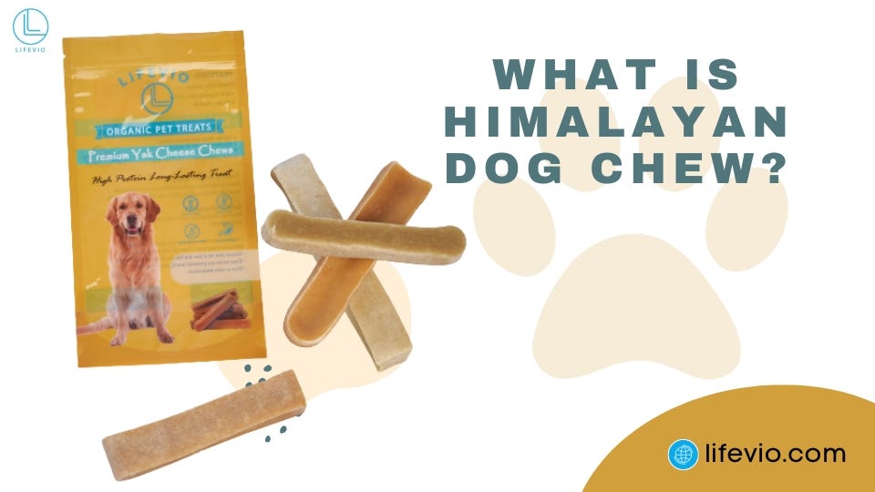 What is Himalayan Dog Chew? Lifevio Medium