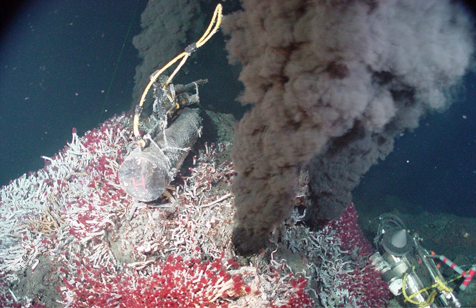 The Dark Enzyme: Deep-Sea Bacteria Rewrite Carbon Sequestration