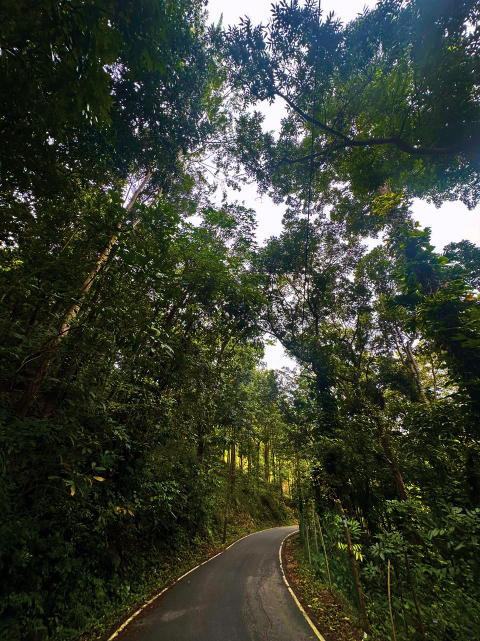 From Kegalle to Pinnawala, A Journey into Sri Lanka’s Unfolded Heart
