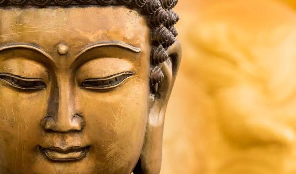 The Vipassana Experience. 10 days of intense meditation at a… | by Nakul  Mohan | Medium