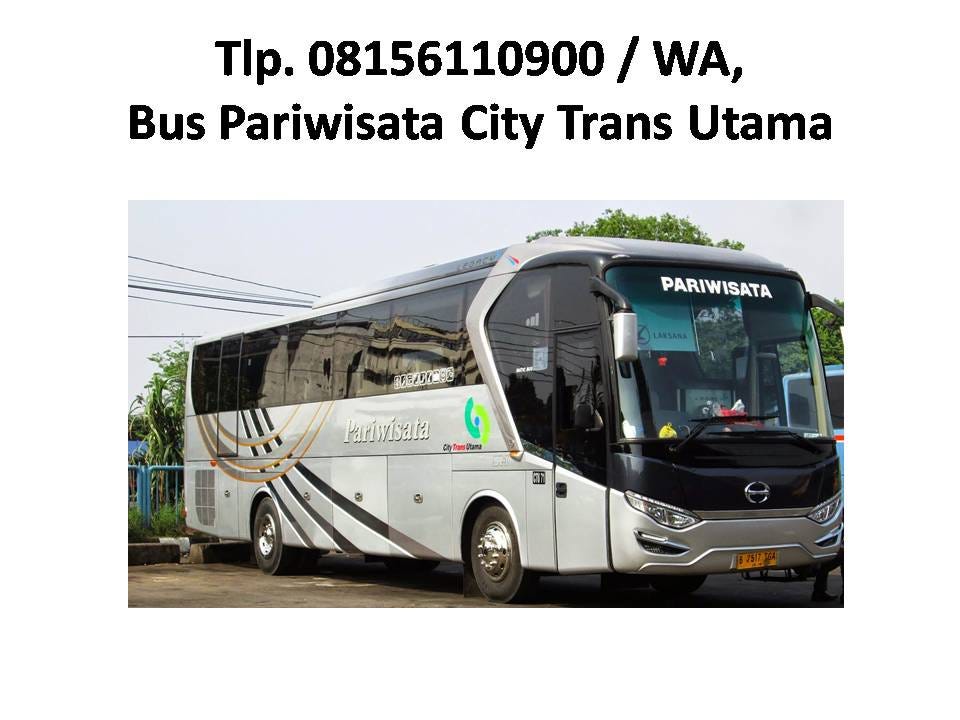 City Trans Utama: Mengarungi Jalan Raya dengan Sentuhan Profesionalisme dan Kenyamanan