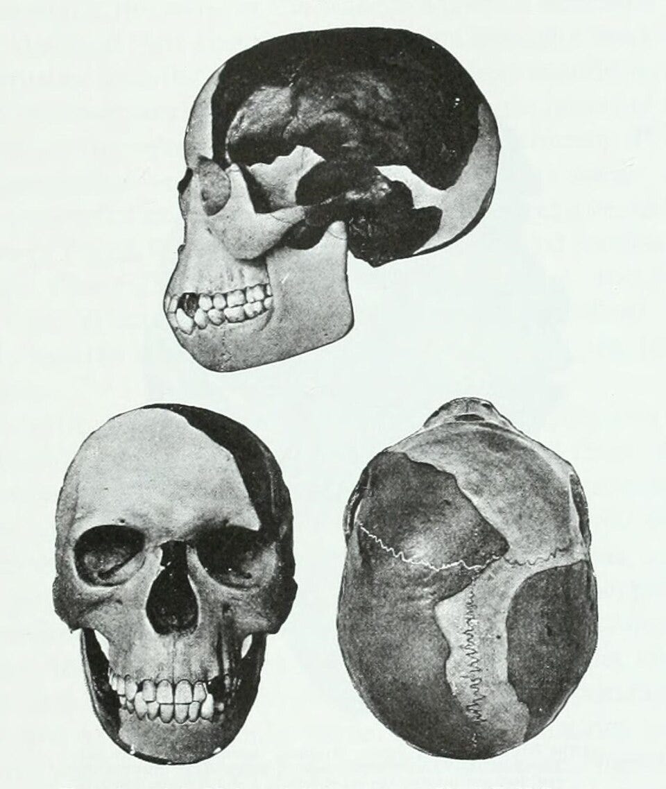 James Howard McGregor, Public domain, via Wikimedia Commons