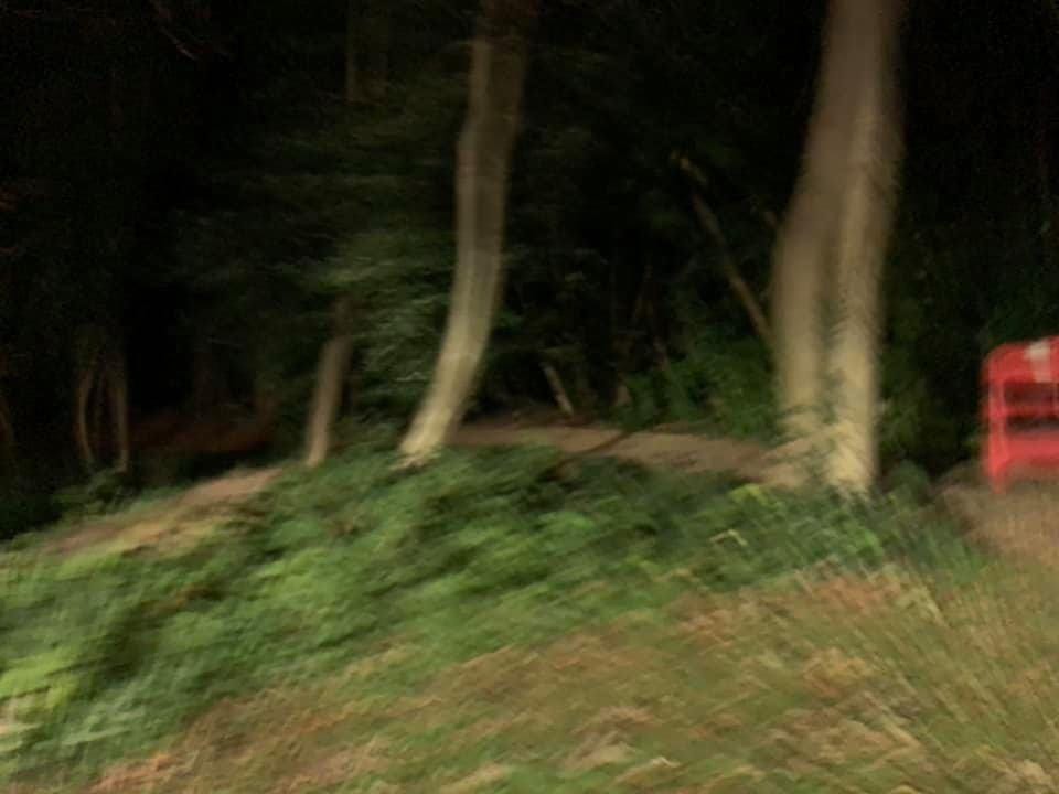 Tread Lightly. A poem — titled after Armand Hammer’s… by Reece