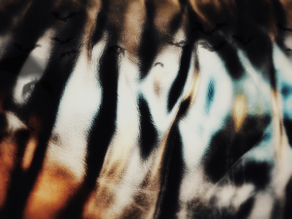 Jaylee’s Bat Cave. Gif by Jaylee Reign © 2023🌿დ