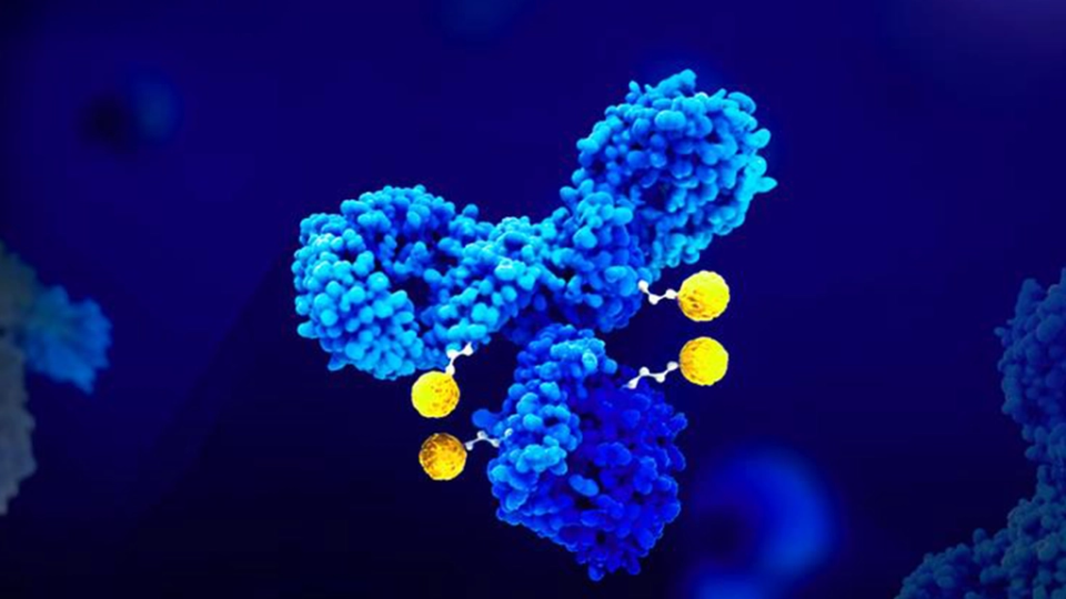 How Antibody Drug Conjugates Are Advancing with Dual-Payload Innovation