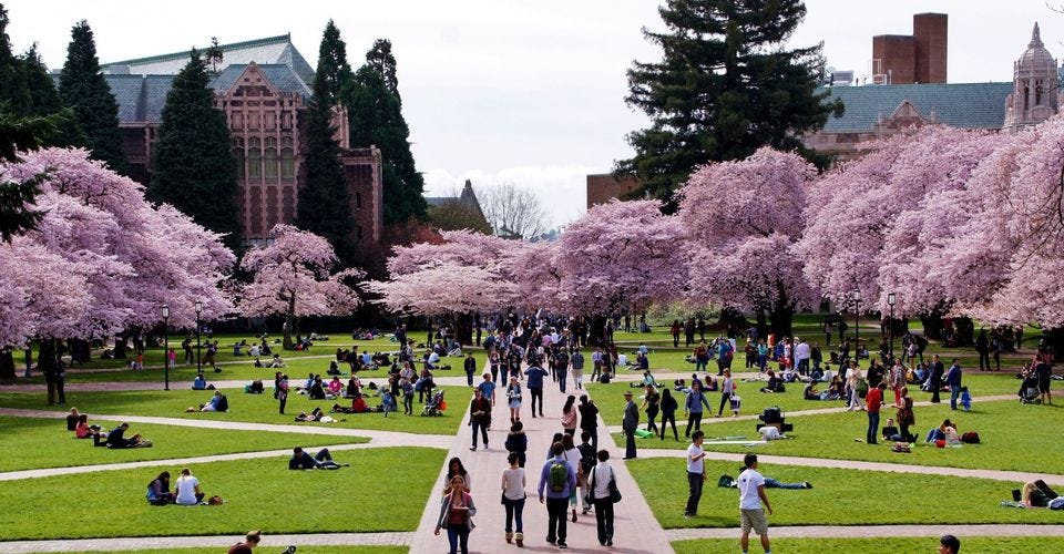 Quad at University of Washington, Seattle. Source: The Traveller