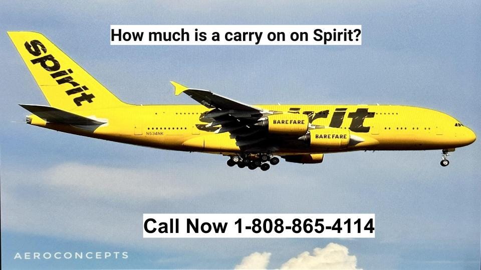 How much is a carry on on Spirit? by Flightreeschedule Apr, 2024