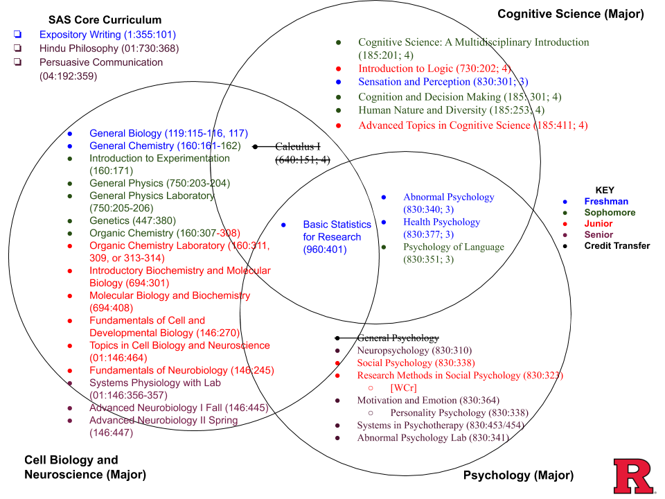 Triple Major or Triple Trouble?. The Question by Pooja Kansagra Medium