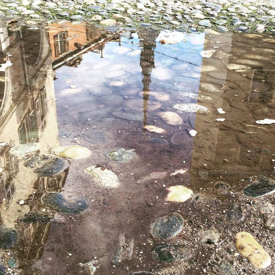 Quando R-esistere è opposizione o alternativa di resilienza?