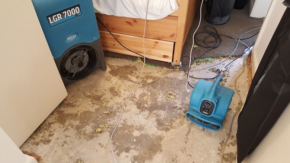 6 Ways To Restore Your Carpet After Water Damage by Sunrise Carpet