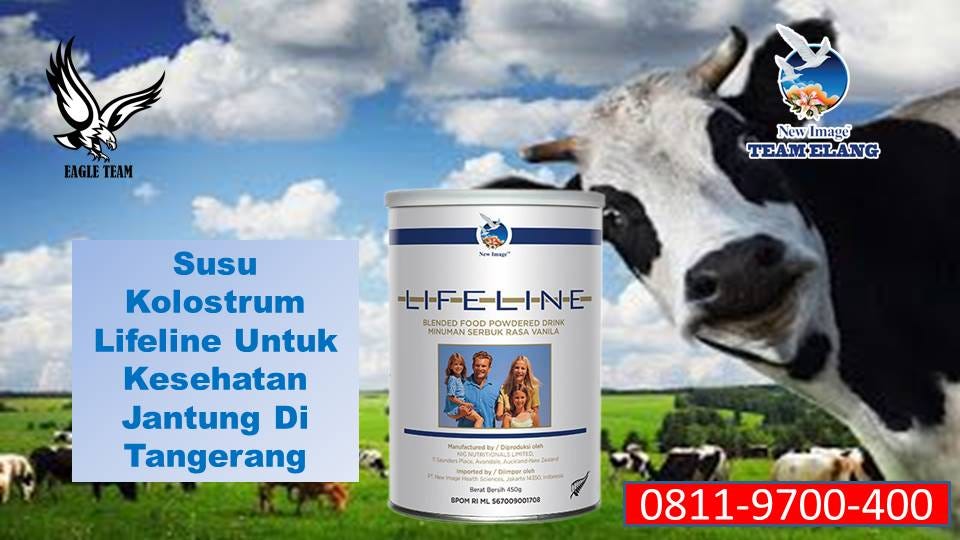 WA 0811–9700–400 / DAPATKAN HARGA MURAH!