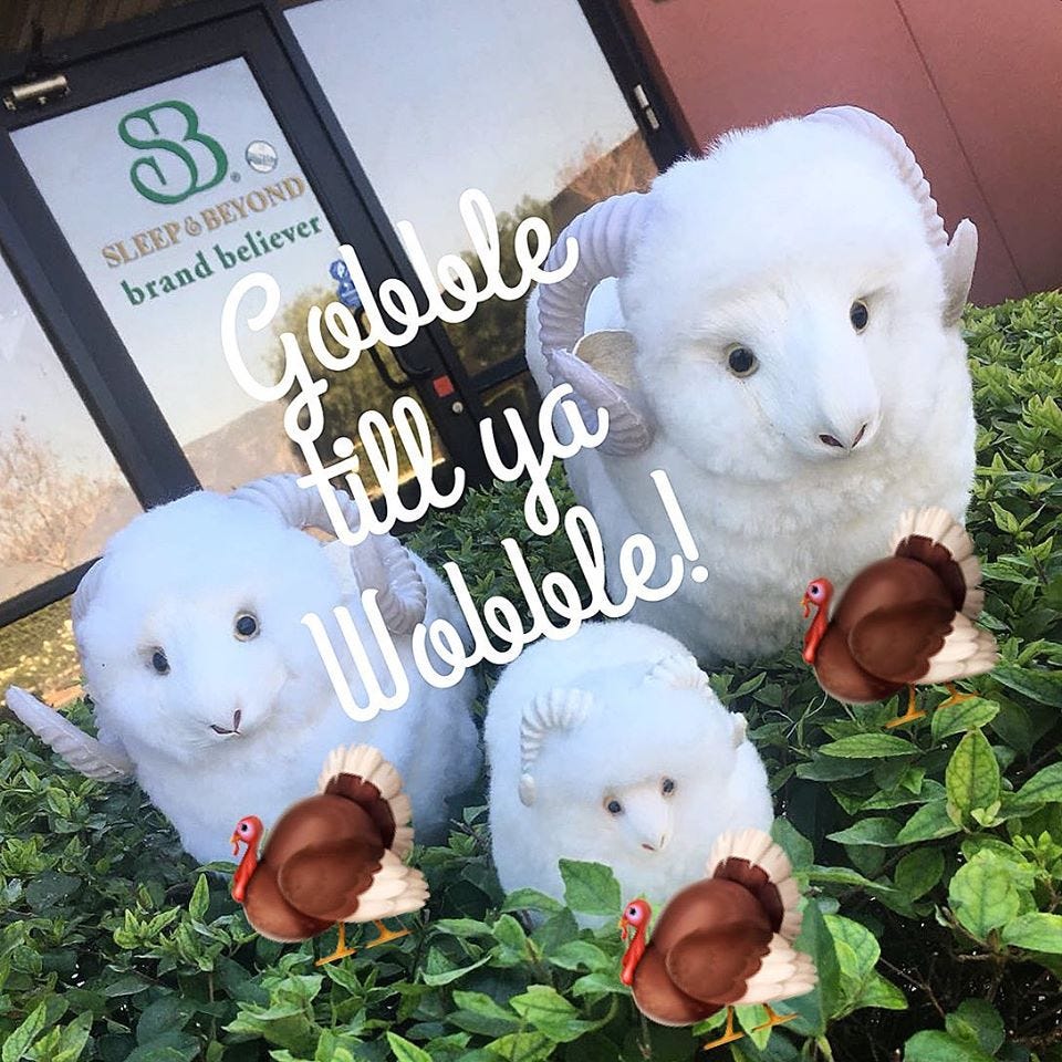 Comforter Buying Guide. A comforter is bedding essential which… by