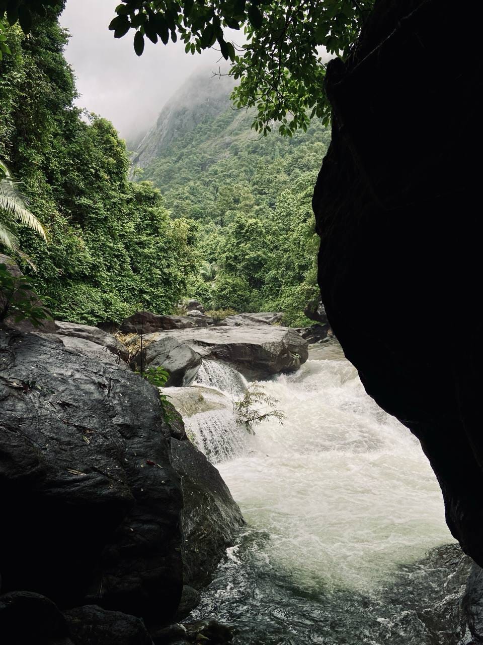 LAND ESCAPE