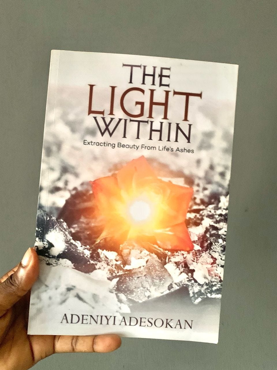 Book Review 2 The Light Within by Adeniyi Adesokan by