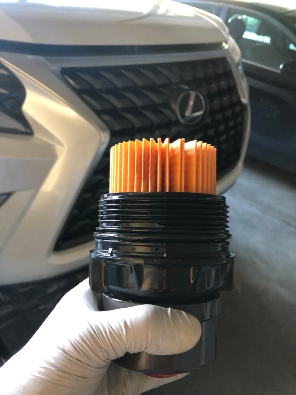 Preparing Engine Oil Change DIY Tools— 2023 Lexus GX460 by Lifeis