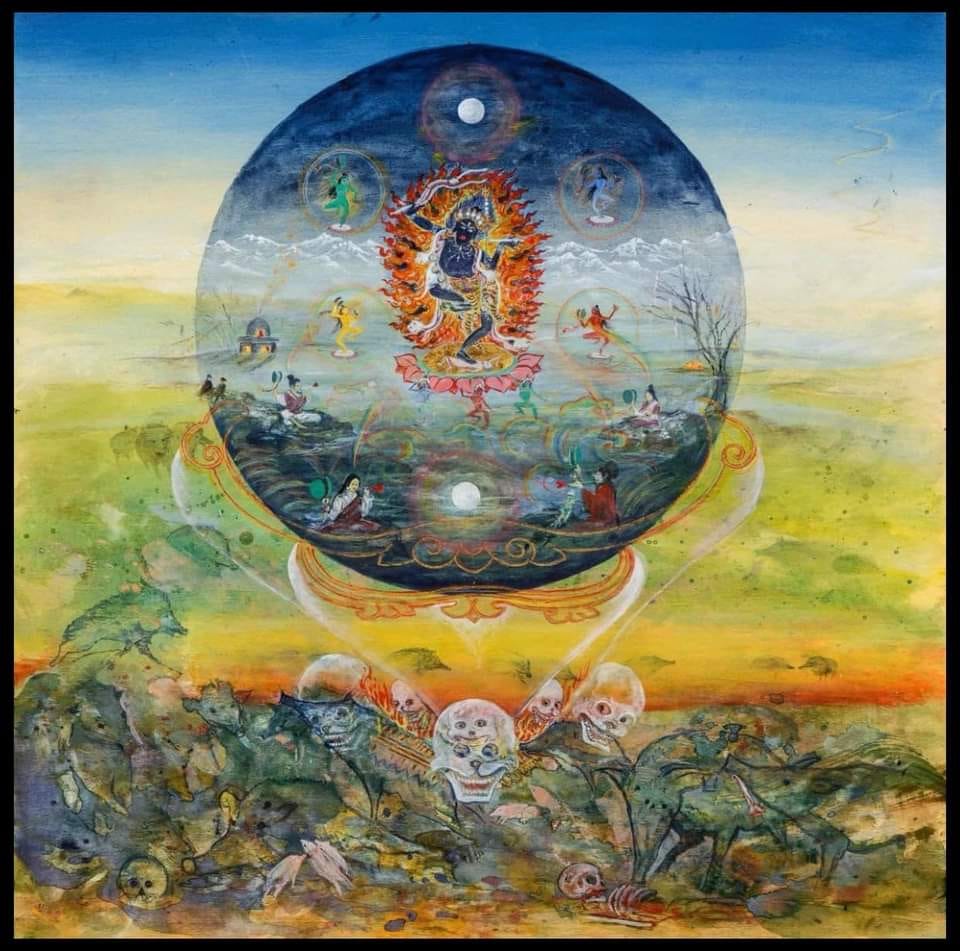 View of The Science of Sleep Understanding What Happens When You Sleep