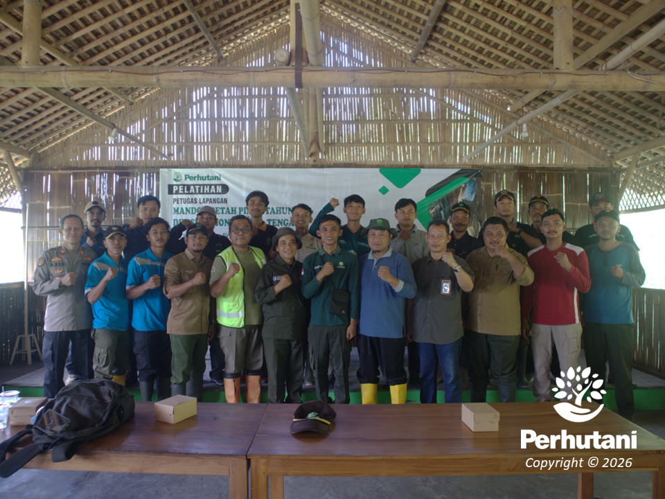 Mandor Pinus Naik Kelas, Pelatihan dari PeFI Kuatkan Standar Penyadapan