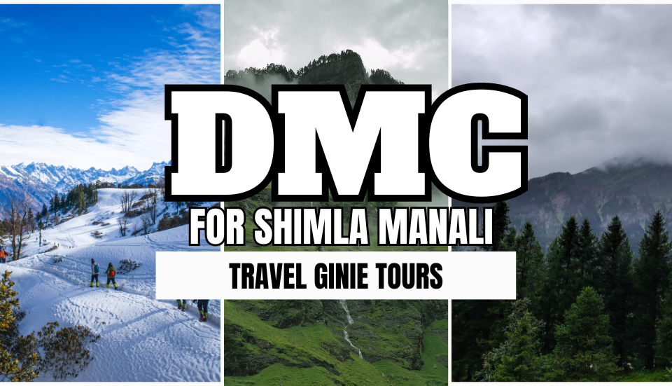 Discover the Best B2B Travel Agent in Chennai with Travel Ginie Tours