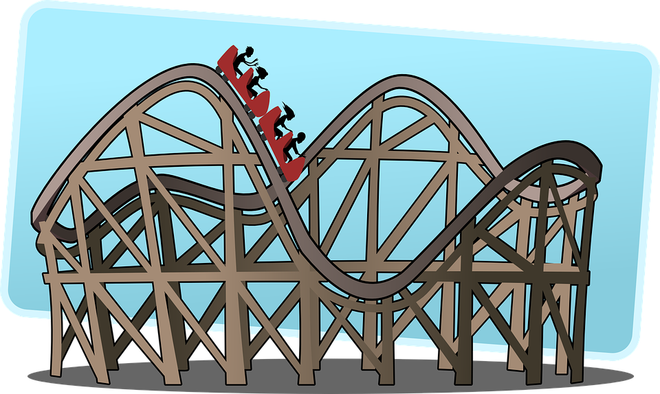 I’m scared of Roller-coasters. This fact about myself has been… | by ...