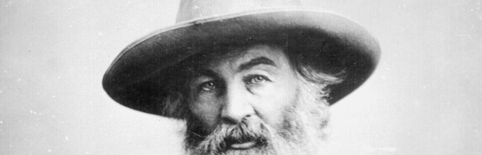 Image: Mathew Brady photograph of Walt Whitman. Source: Wikimedia Commons
