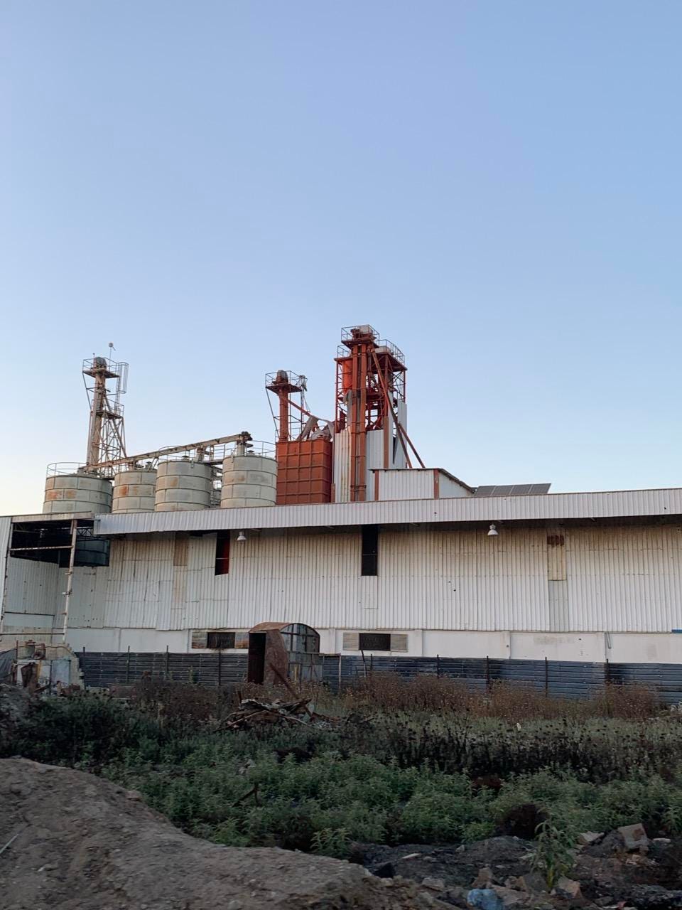 Life in Gaza: Between Ruins and Resilience
