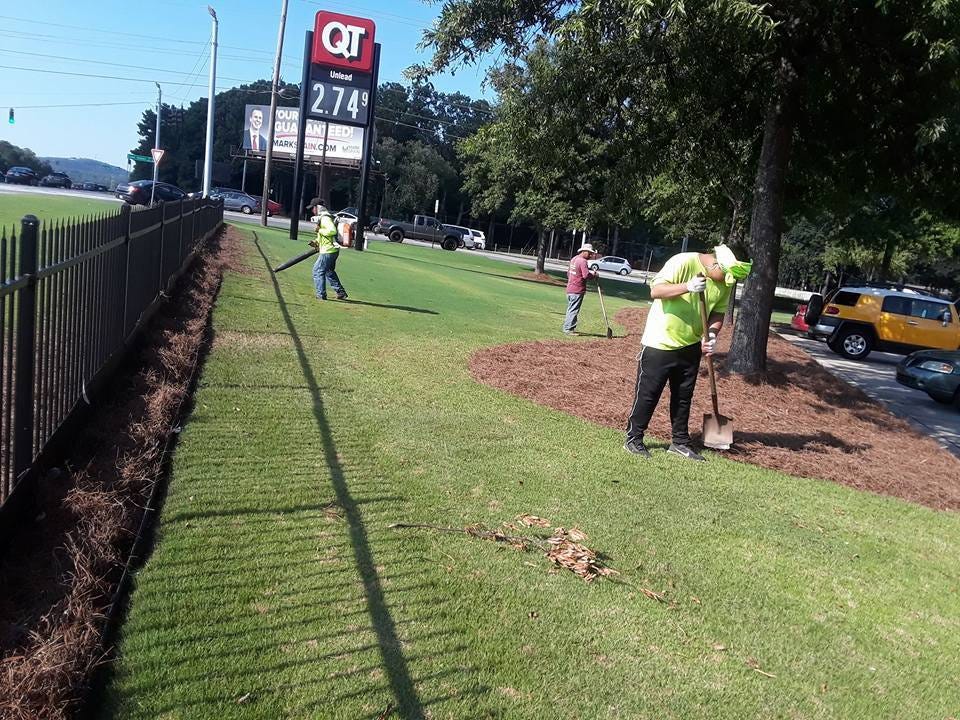 Pine Straw For Sale. Are you looking for pine straw for… by Pine City