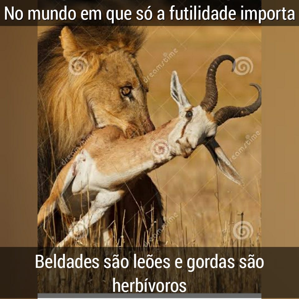 As esbeltas não se incomodam com as gordas, assim como os leoas não se incomodam com os herbívoros