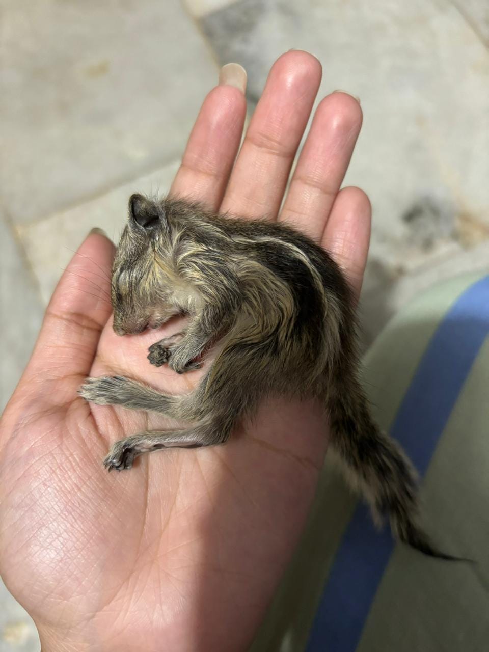 GILLU
