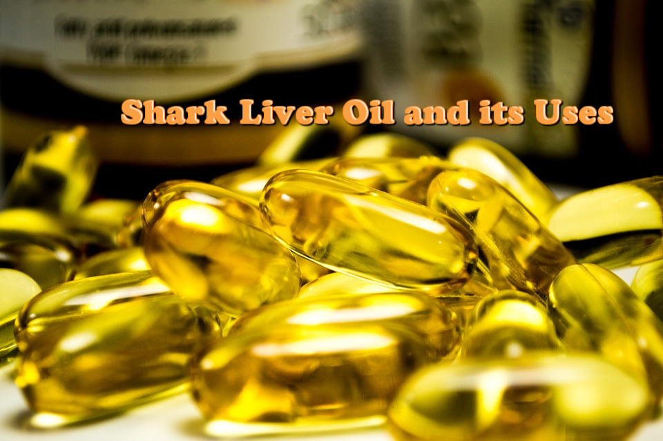 Shark Liver Oil and its Uses. Shark liver oil naturally contains… by Independent Chemical