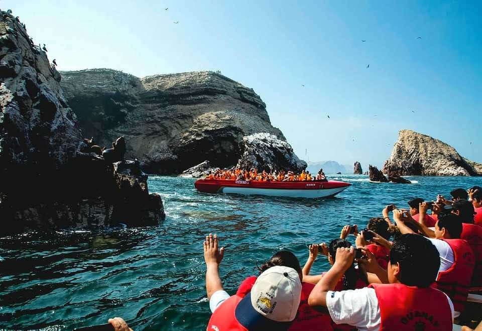 Tour Islas Ballestas Paracas Huacachina full day