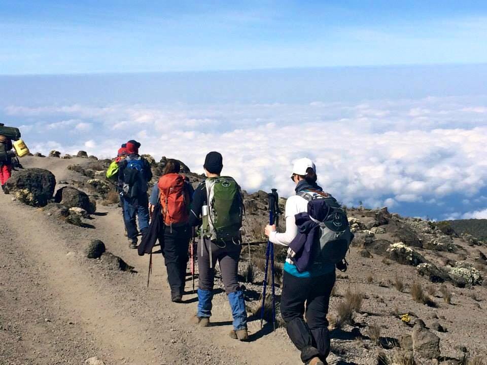 6 days machame route kilimanjaro climbing YOU CAN JOIN A GROUP: If you ...