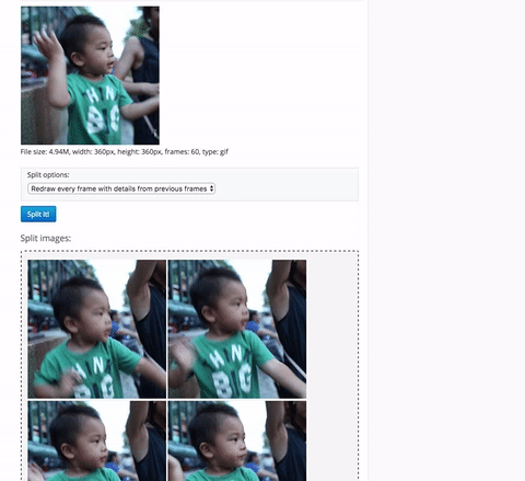 Split GIF image in frames