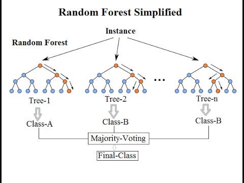 Random Forest: O que é, como funciona e quase tudo que você